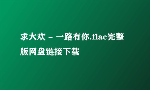 求大欢 - 一路有你.flac完整版网盘链接下载