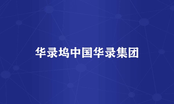 华录坞中国华录集团