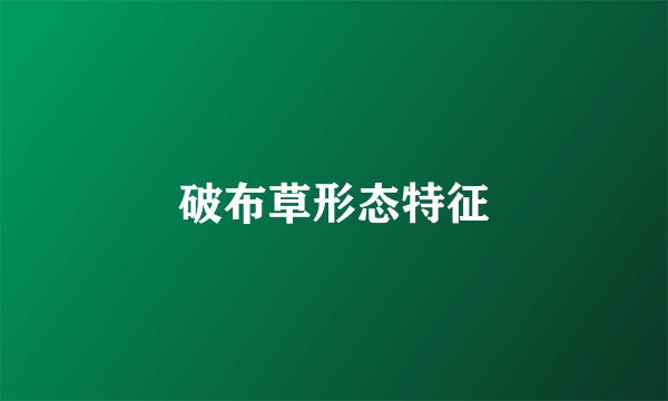 破布草形态特征