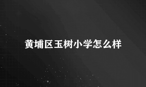 黄埔区玉树小学怎么样