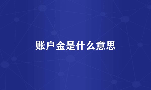 账户金是什么意思