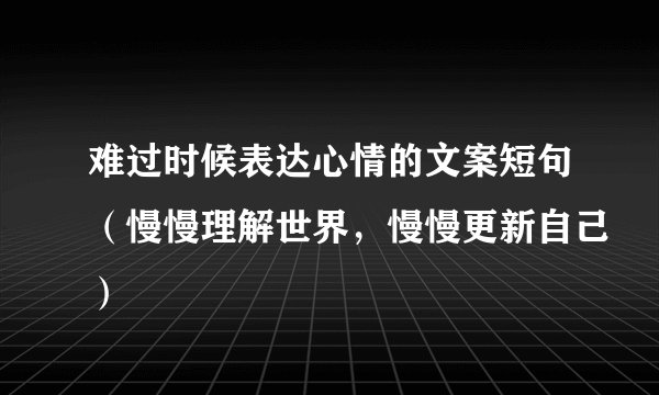 难过时候表达心情的文案短句(慢慢理解世界,慢慢更新自己)