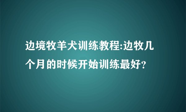 边境牧羊犬训练教程:边牧几个月的时候开始训练最好？