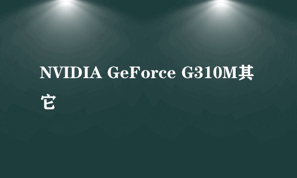 NVIDIA GeForce G310M其它