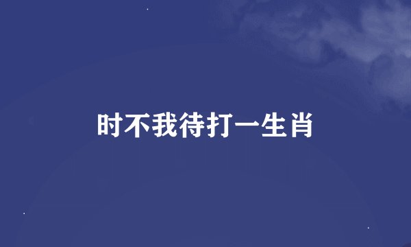 时不我待打一生肖