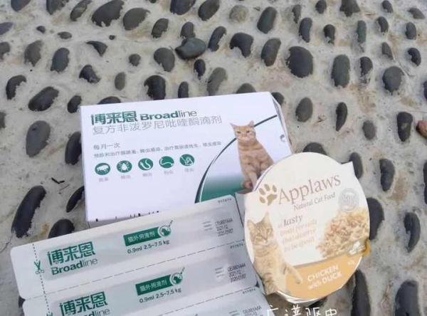 宠物驱虫方案应对,大宠爱和博来恩哪个好?
