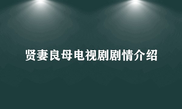 贤妻良母电视剧剧情介绍