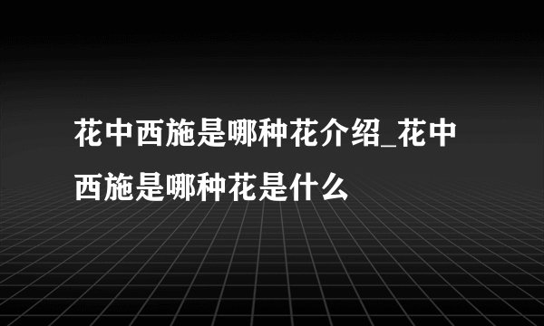 花中西施是哪种花介绍_花中西施是哪种花是什么