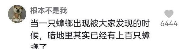 阿里女员工曝光被领导灌酒性侵,CEO张勇深夜回应!济南警方介入