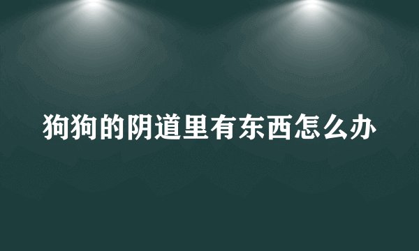 狗狗的阴道里有东西怎么办