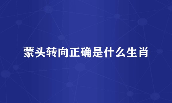 蒙头转向正确是什么生肖