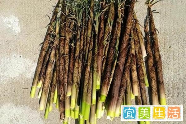 村民采笋和承包商起冲突，导致多人受伤，原因何在