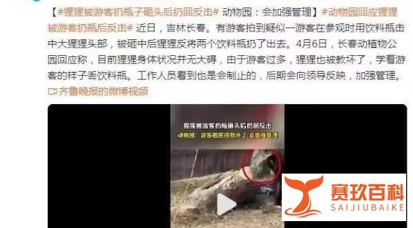 猩猩被游客扔瓶子砸头后扔回反击，是正当防卫吗？