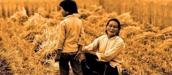 农民割麦得花钱降尘?农业局工作人员的初衷,真的是为了环保吗?