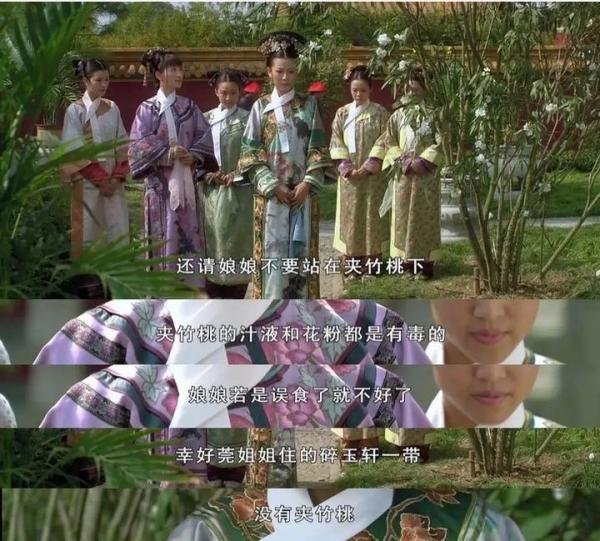 一女孩为拍氛围感照片嘴含夹竹桃中毒送医，网友觉得这个妹子肯定没看过“甄嬛传”