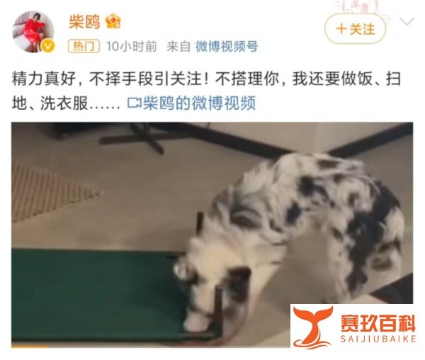打人导演妻子讽刺孙菲菲炒作，却被怼得不敢吱声