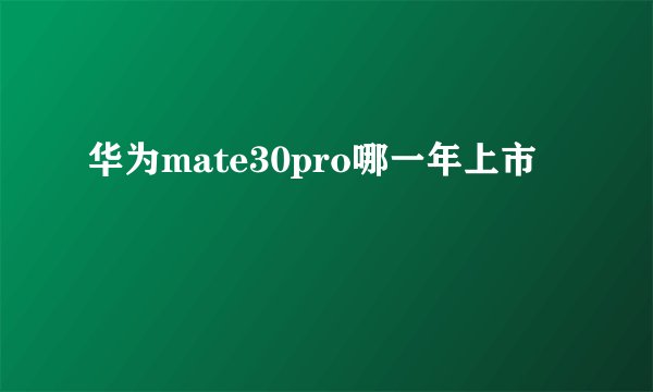华为mate30pro哪一年上市