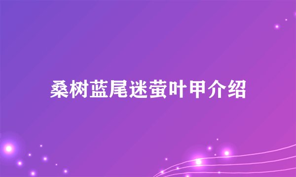 桑树蓝尾迷萤叶甲介绍