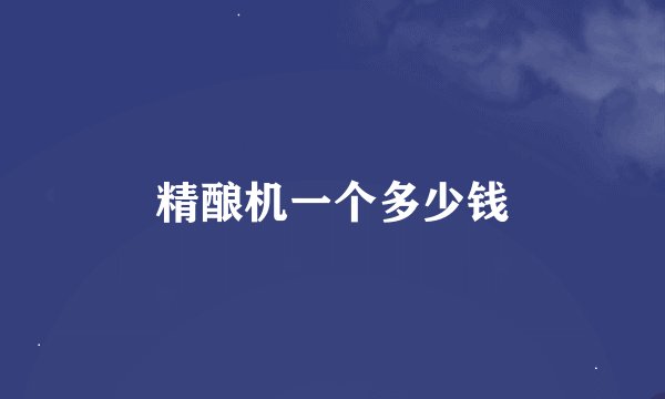 精酿机一个多少钱