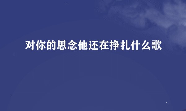 对你的思念他还在挣扎什么歌