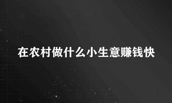 在农村做什么小生意赚钱快
