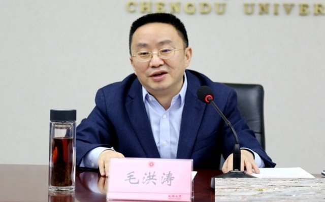 关于毛洪涛溺亡事件,官方采取了怎样的调查工作?