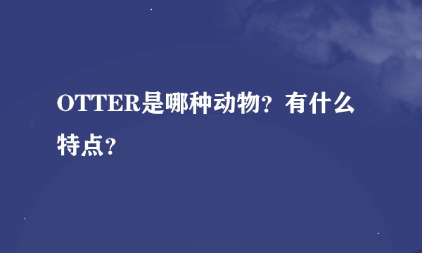 OTTER是哪种动物?有什么特点?