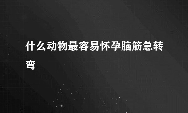 什么动物最容易怀孕脑筋急转弯