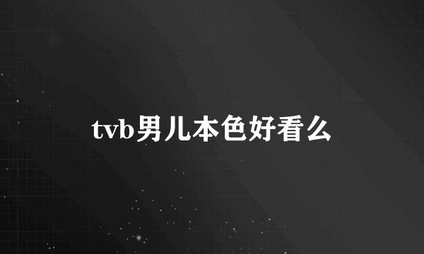 tvb男儿本色好看么