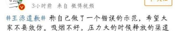 王栎鑫力挺王源太突兀,不怪网友质疑他蹭热度