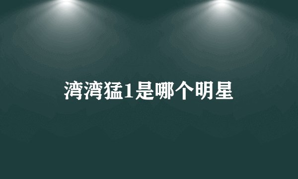 湾湾猛1是哪个明星