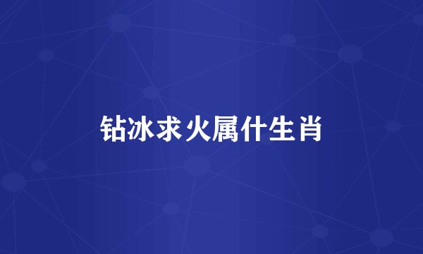 钻冰求火属什生肖