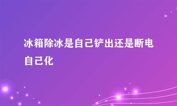冰箱除冰是自己铲出还是断电自己化