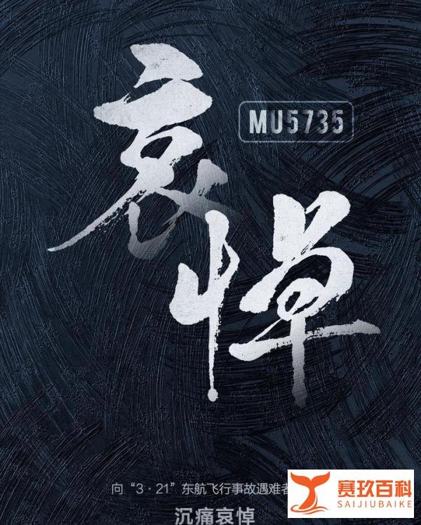 沉痛哀悼！“3·21”东航MU5735航班机上132人全部遇难