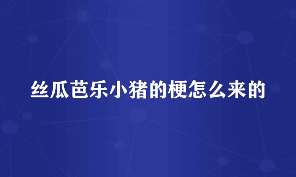 丝瓜芭乐小猪的梗怎么来的