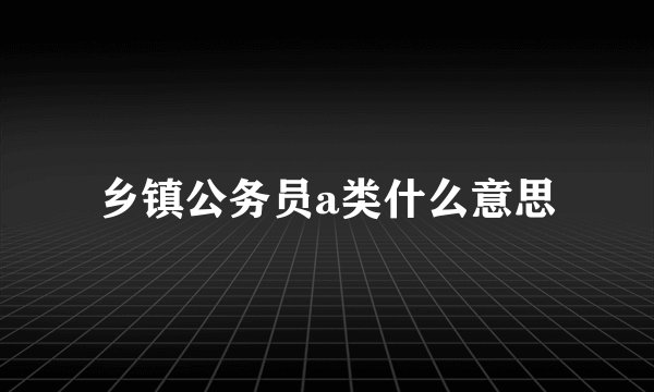 乡镇公务员a类什么意思