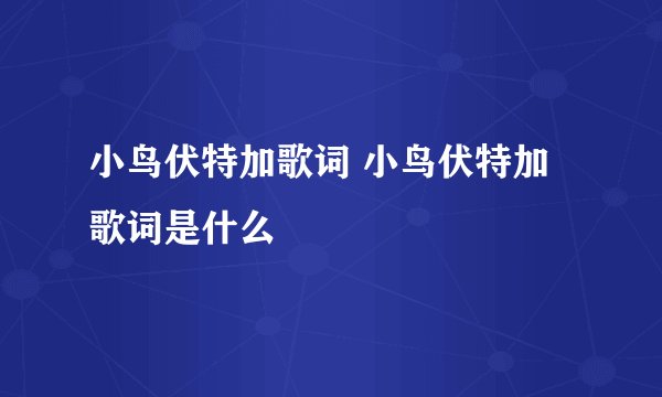 小鸟伏特加歌词 小鸟伏特加歌词是什么