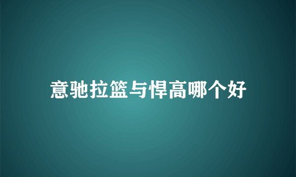意驰拉篮与悍高哪个好