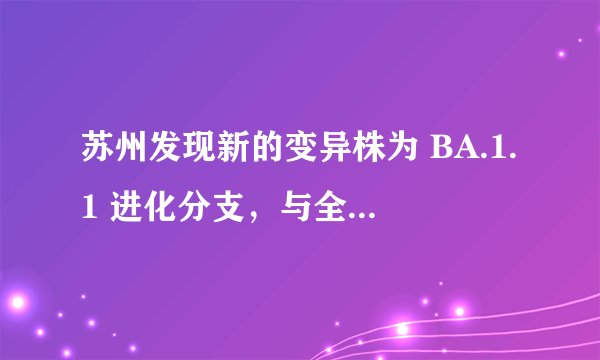 苏州发现新的变异株为 BA.1.1 进化分支，与全球已知毒株不同源，这意味着什么？防控需注意哪些方面？