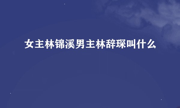 女主林锦溪男主林辞琛叫什么