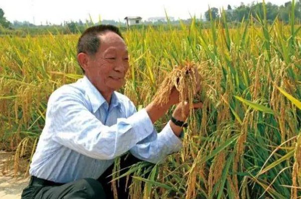 委员建议将袁隆平逝世日设为全国节约粮食日，你觉得是否有这个必要？