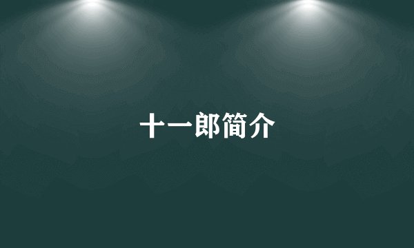 十一郎简介