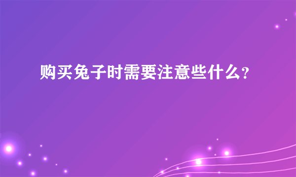 购买兔子时需要注意些什么？