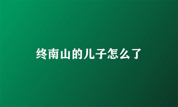 终南山的儿子怎么了