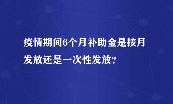 疫情期间6个月补助金是按月发放还是一次性发放？