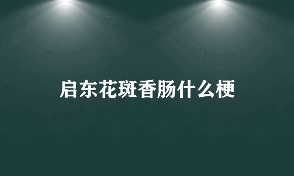 启东花斑香肠什么梗