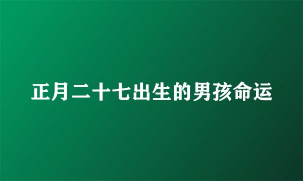正月二十七出生的男孩命运