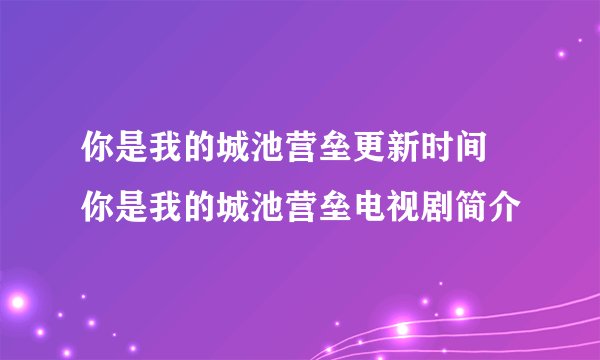 你是我的城池营垒更新时间 你是我的城池营垒电视剧简介