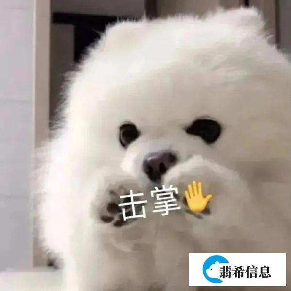 震惊！20分进招教复审名单？！男性考教师会更有优势吗？