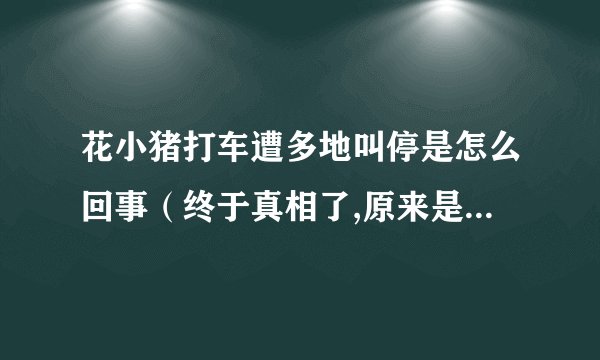 花小猪打车遭多地叫停是怎么回事（终于真相了,原来是这样!）